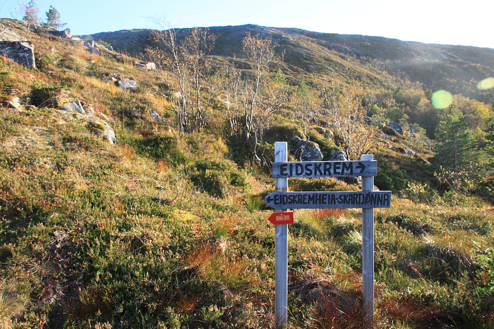Akkurat over tregrensa