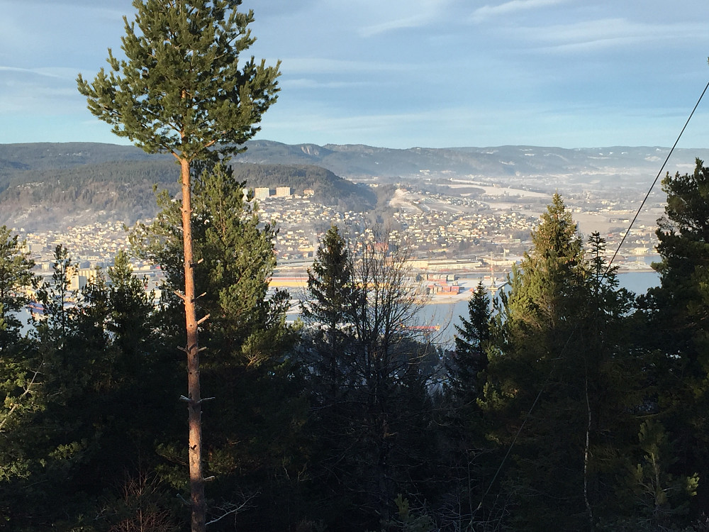 Utsikt over Drammen fra Nordbykollen