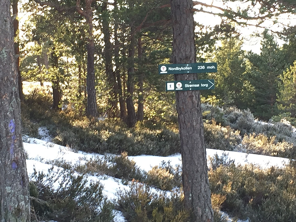 I nærheten av toppen