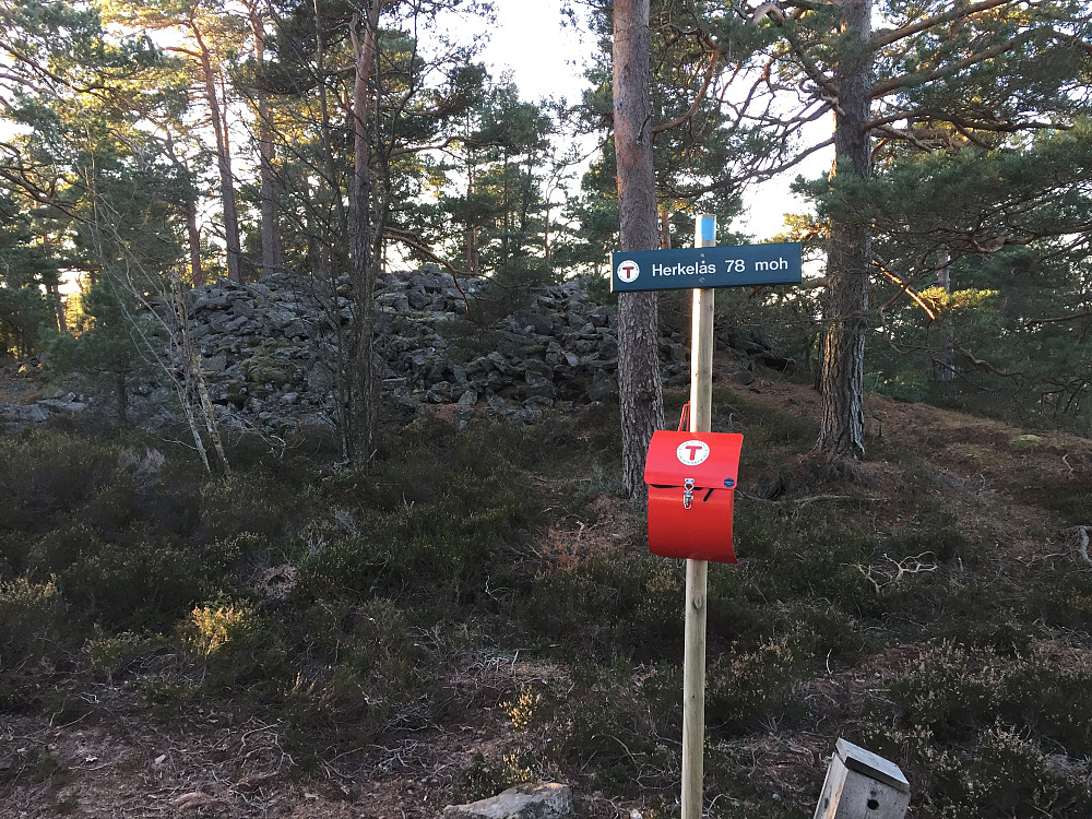 Den nye Herkeløs-toppen i Tjøme