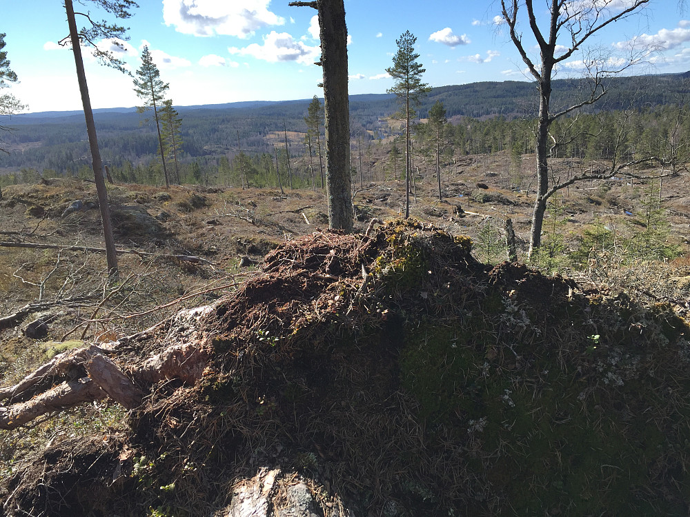 Utsikt fra Svinåsen