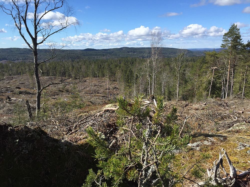 Utsikt fra Svinåsen II