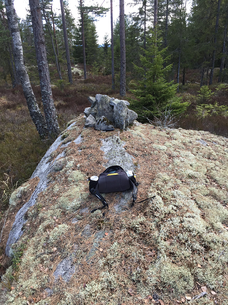 Den lille varden på Vardehøgda