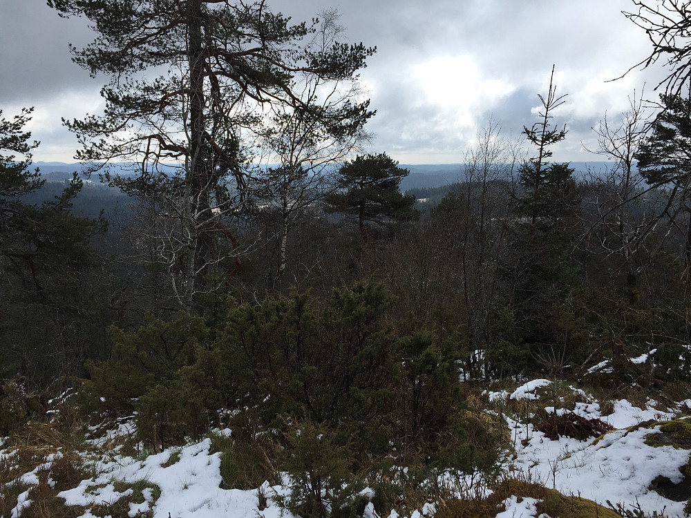 Toppen Havsåsen