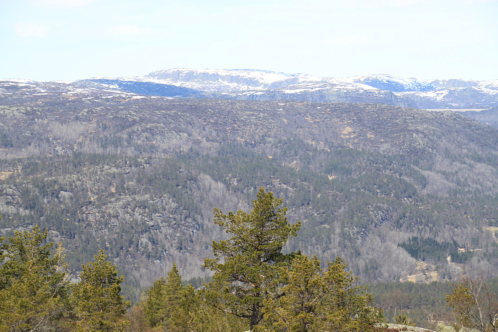 Utsikt fra Ørnemyrfjellet III