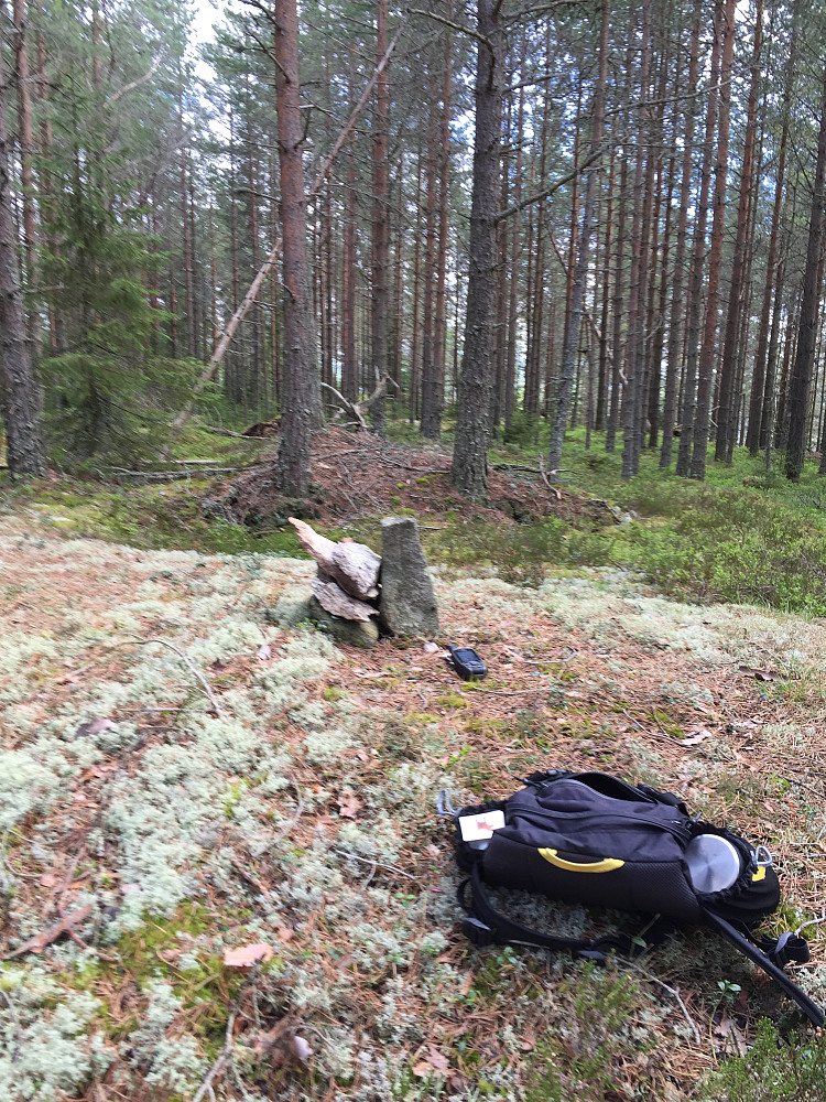 Toppen av Igletjernhøgda