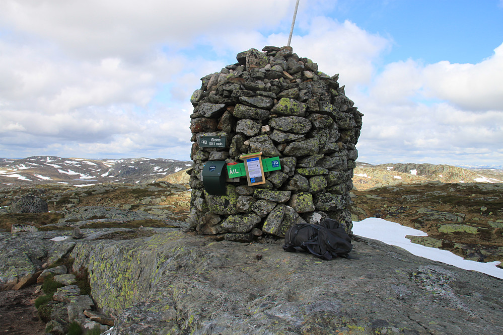 Toppvarden