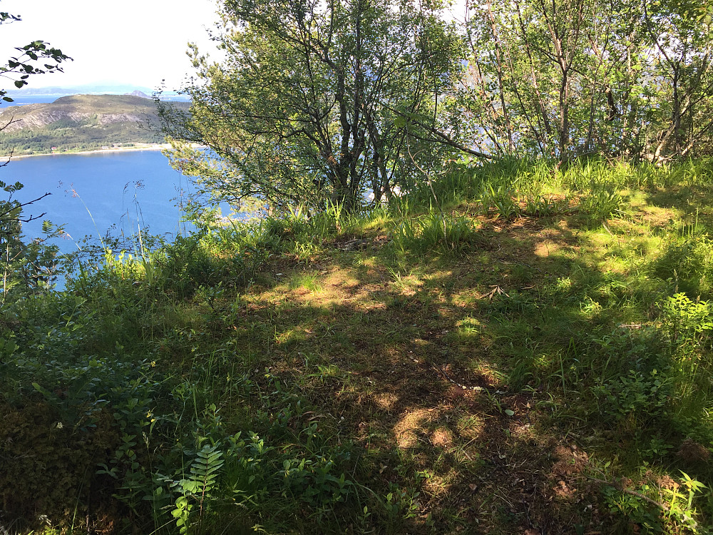 Toppen av Aksla