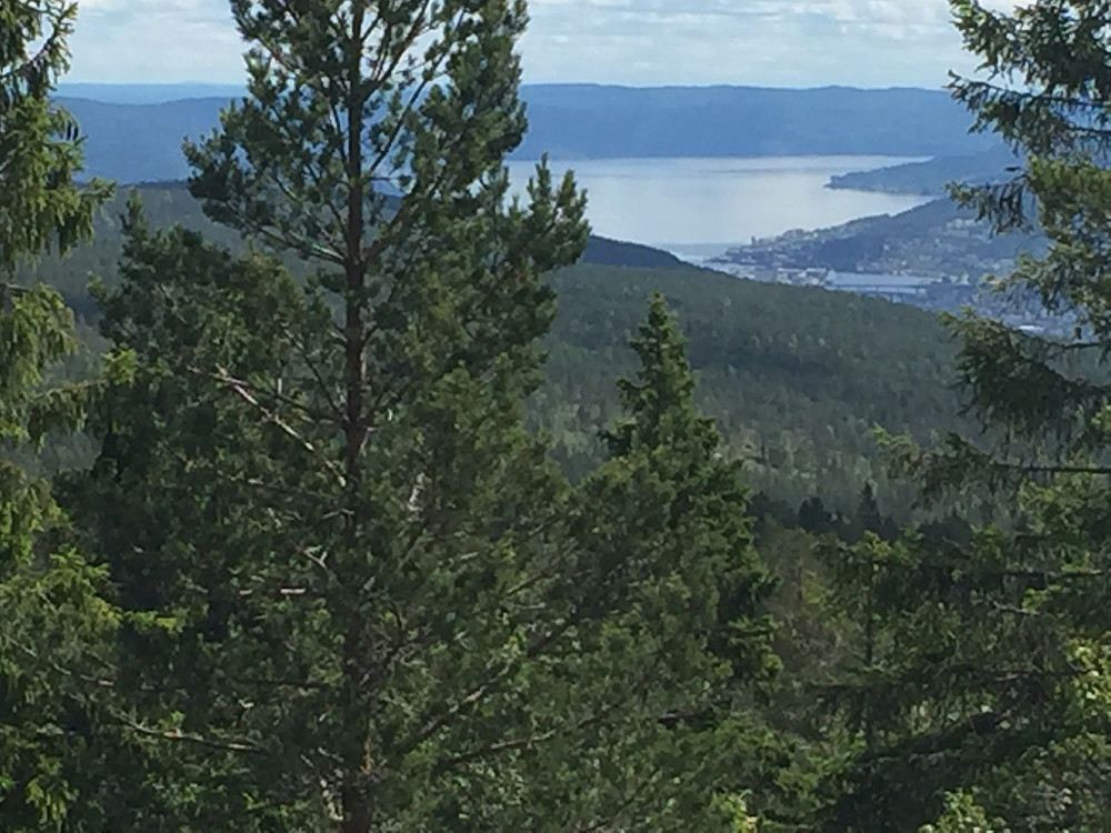 Hoggsåsen øst utsikt mot Drammen