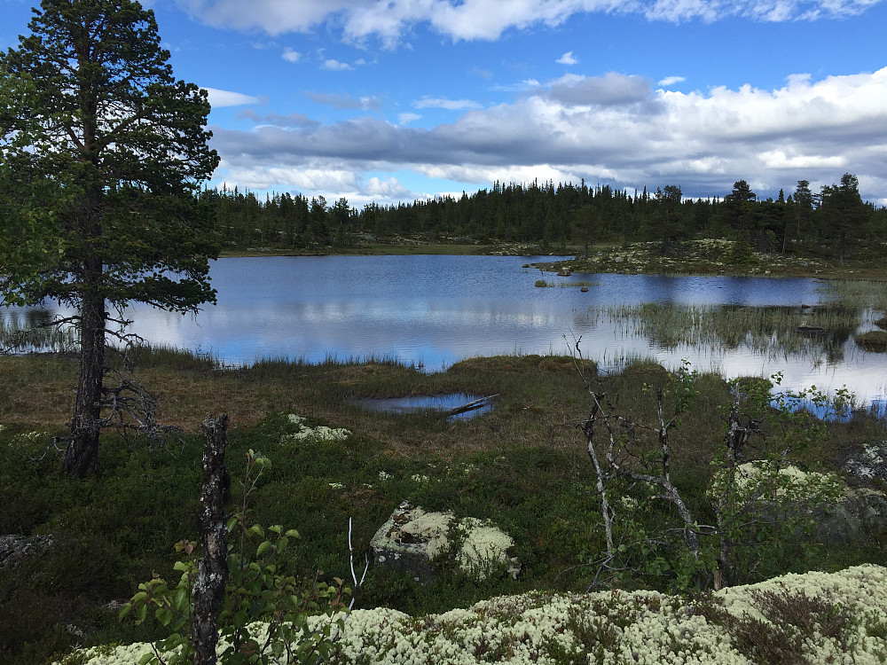 Flere små vann