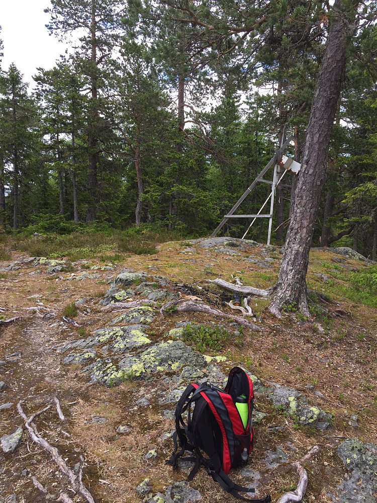 Vesttoppen
