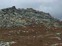 Osten_20170821_599b186e0646b.jpg