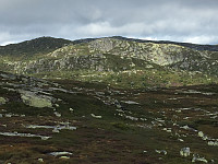 Osten_20170821_599b1dfd8fbb0.jpg