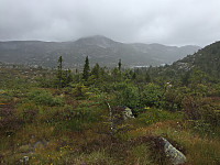 Osten_20170821_599b1e1580aa1.jpg