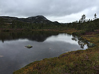 Osten_20170821_599b1e1959bc1.jpg