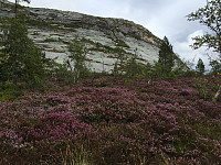 Osten_20170821_599b1e1d9354f.jpg
