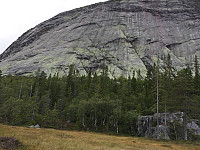 Osten_20170821_599b1e2583b8e.jpg