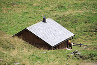 Osten_20170906_59b0522538934.jpg