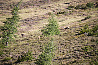 Osten_20170906_59b056a8eddd6.jpg