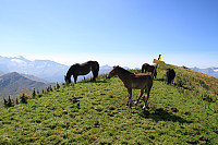 Osten_20170906_59b056f3d1835.jpg