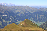 Osten_20170906_59b05744c5bc9.jpg