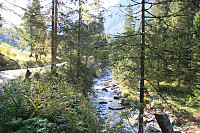 Osten_20170906_59b05a4ef11cf.jpg