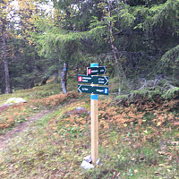 Osten_20170917_59bea1f7172d0.jpg