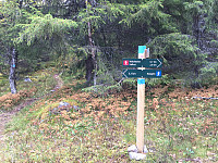 Osten_20170917_59bea22d869f2.jpg