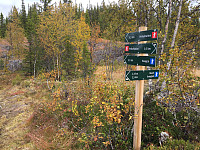 Osten_20170917_59bea2355c042.jpg