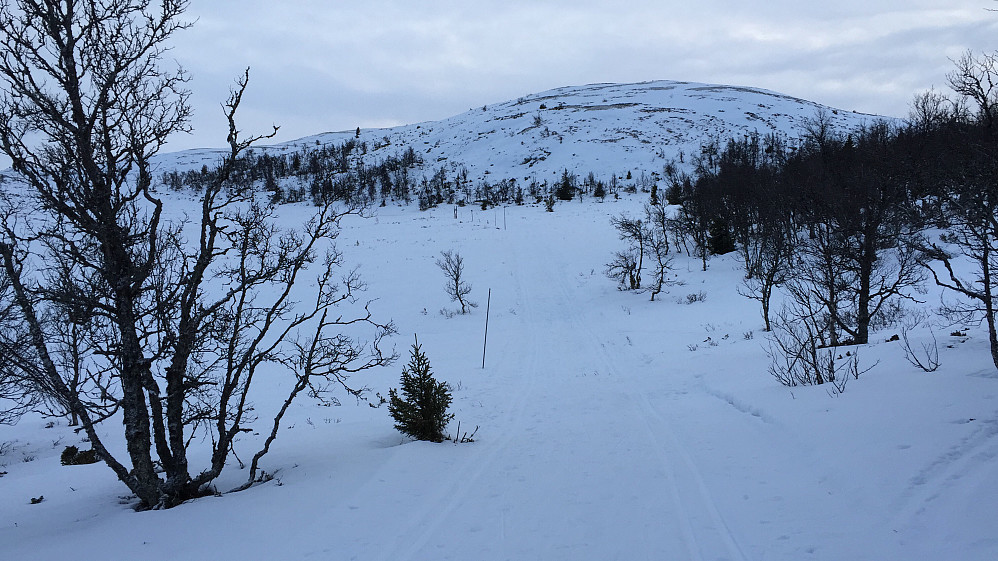 Innenfor Åkrefjell