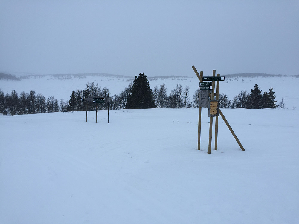 Ruskevær i fjellet