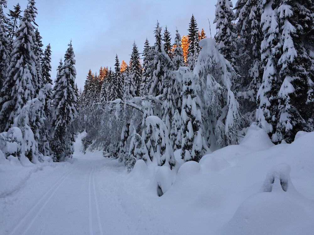 Sola titta på toppene