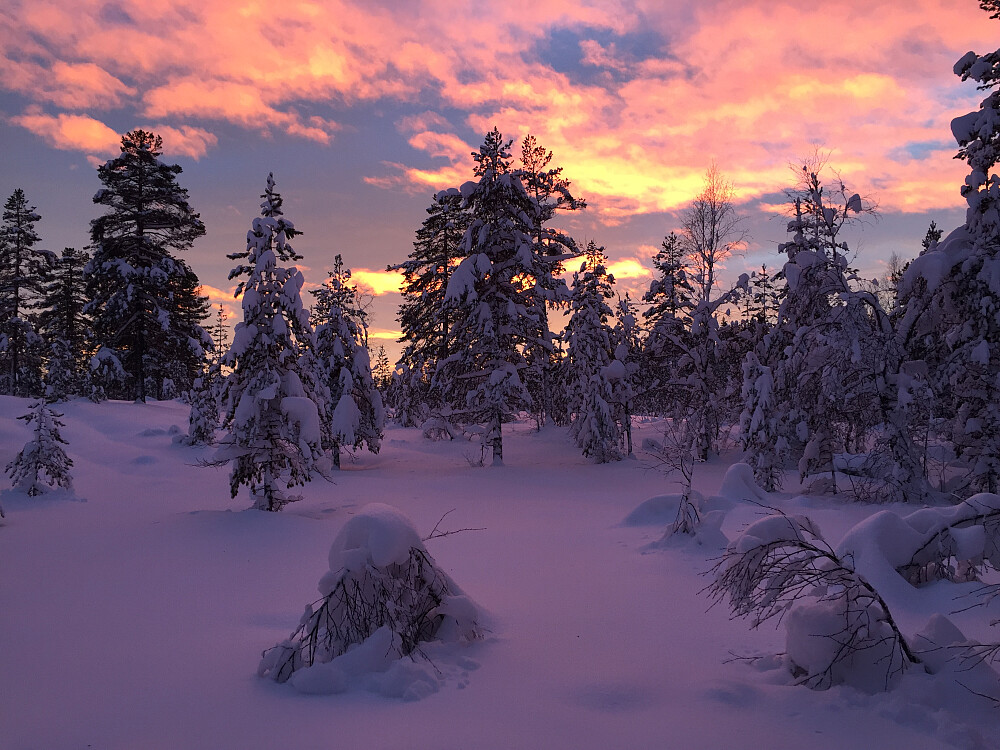 Flott januar solnedgang