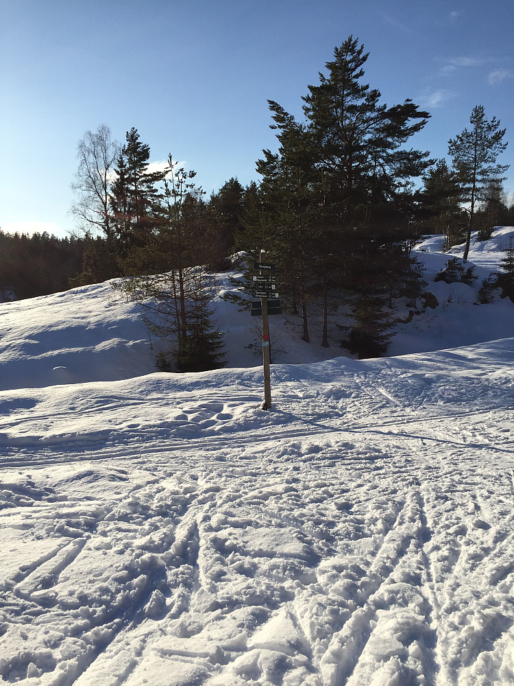 Løypekryss