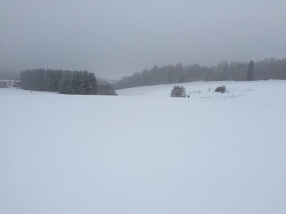 Bødalen