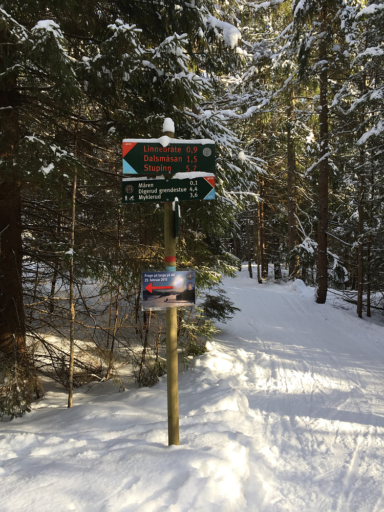 Løypekryss
