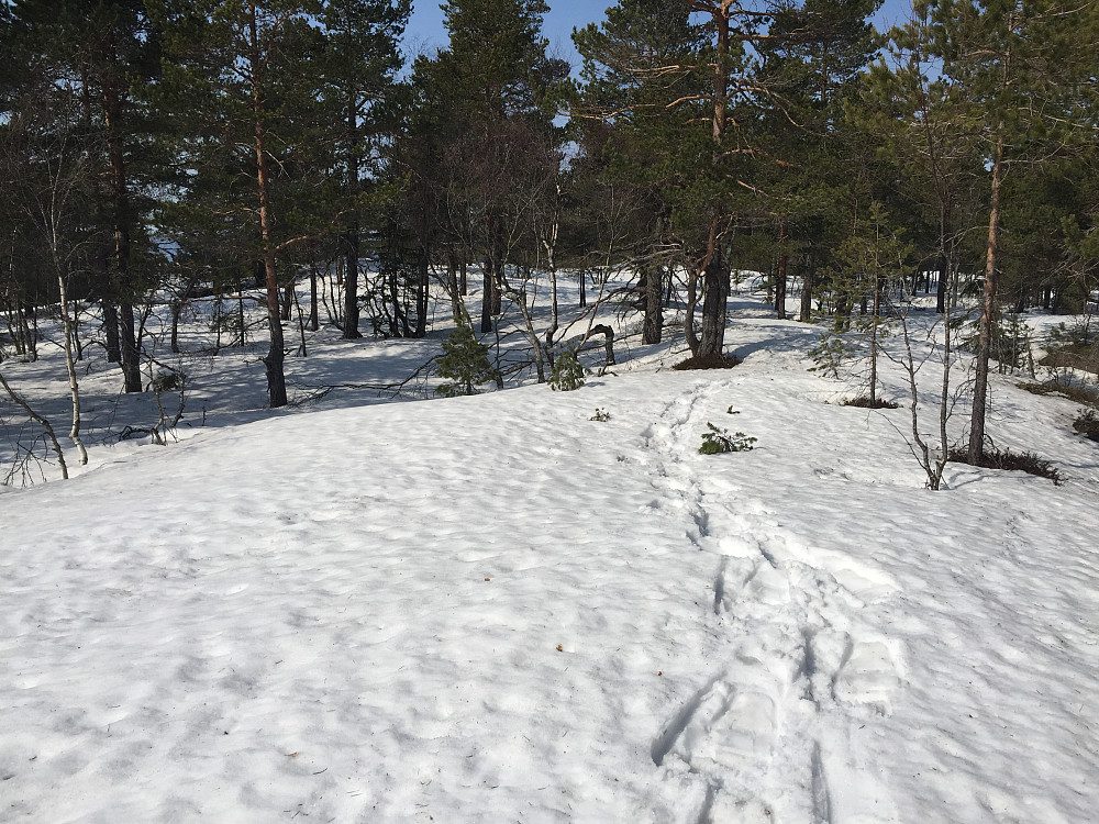 Storås trigpunt