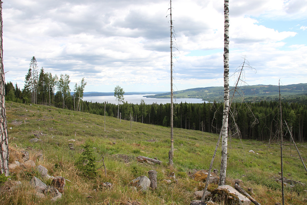 Utsikt over Hurdalssjøen