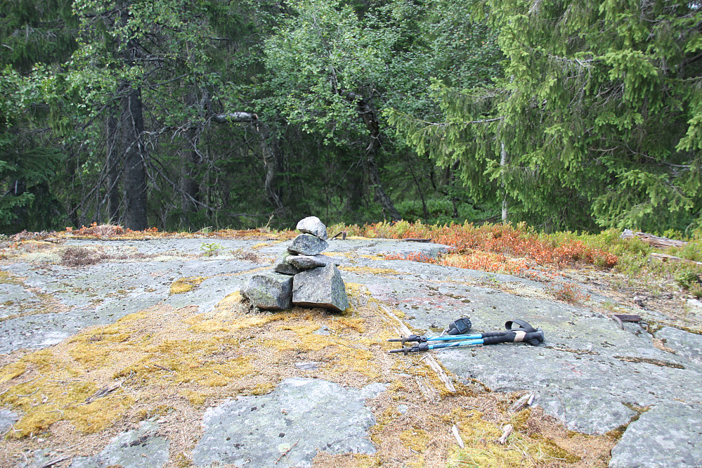 Toppen av Brennhaugen, Hurdal