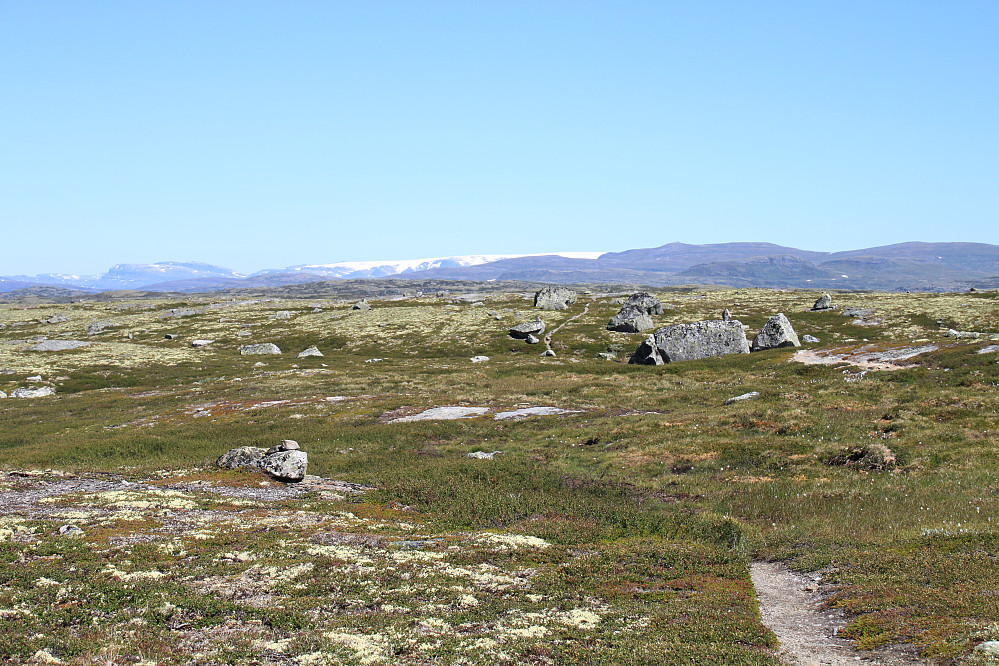 Utsikt bakover mot Hardangerjøkulen