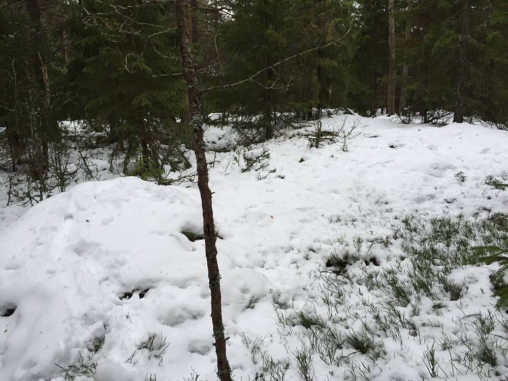 Øst for Myklerud 123