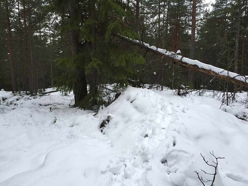Øst for Damenga 135