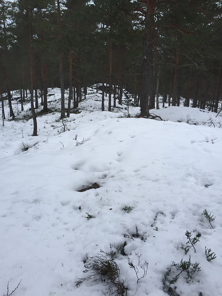 Nylandsås 163