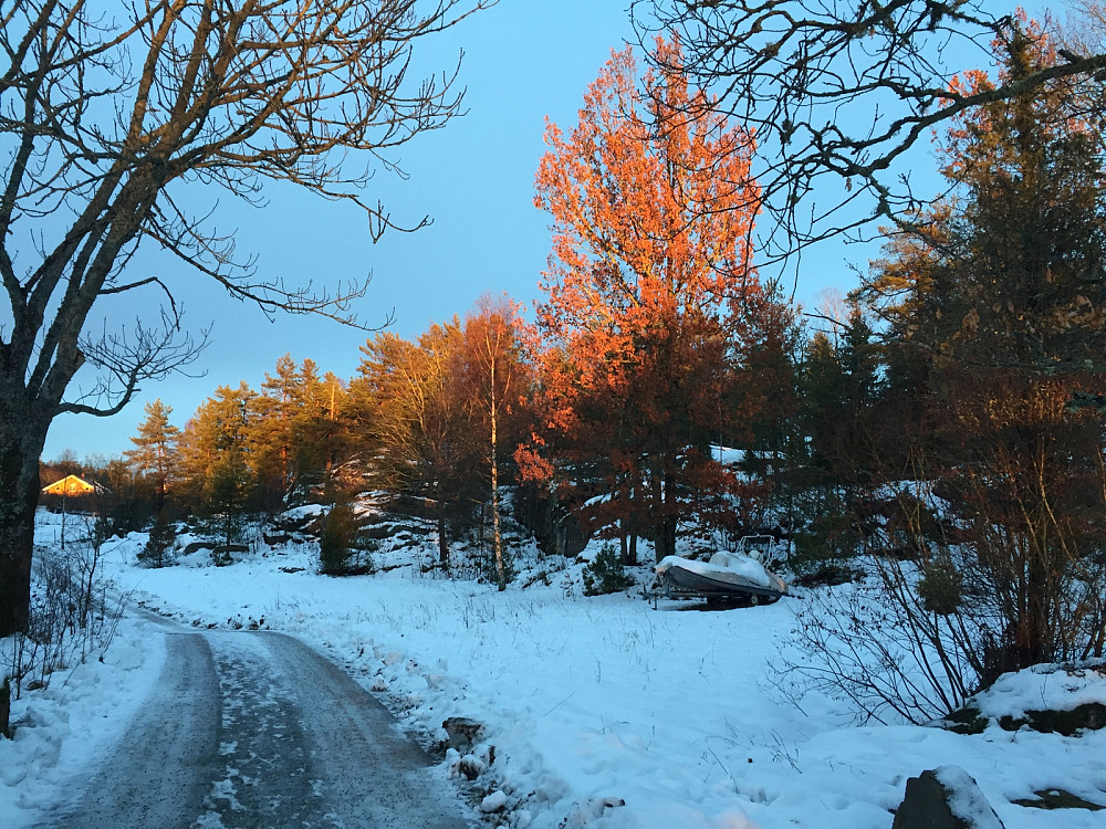 Toppåsen i solnedgang