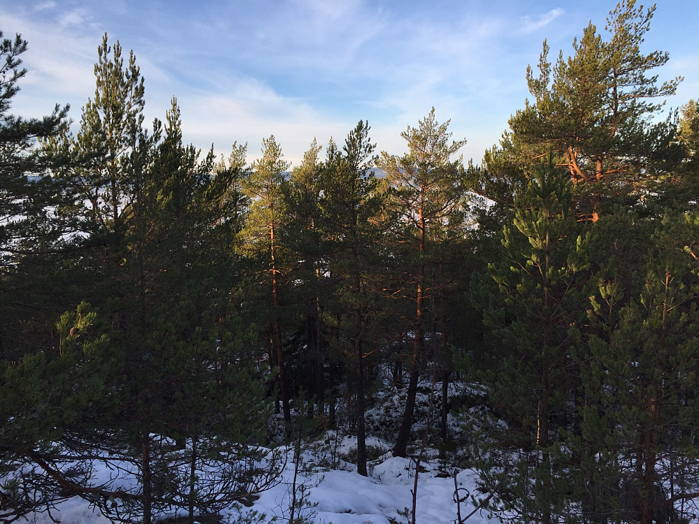 Utsikt utover tåka i Oslofjorden