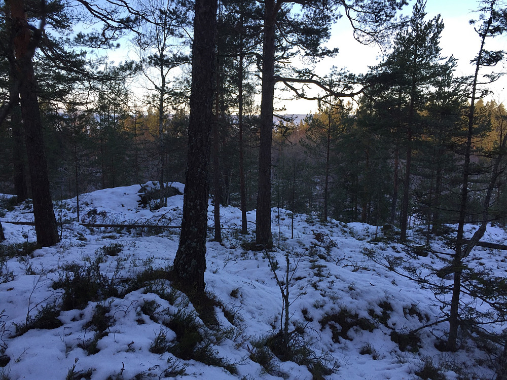 Mot Oslofjorden
