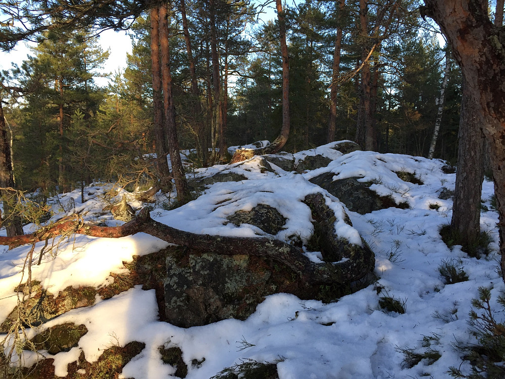 Toppen av Totjernåsen