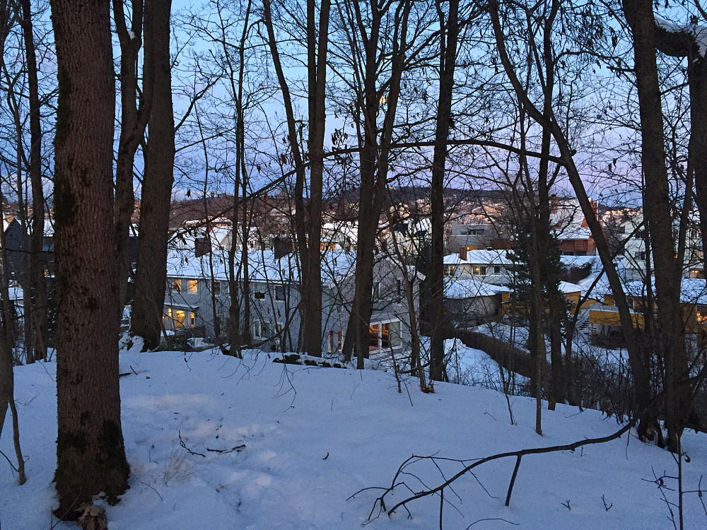 Toppen av Eikeskogen mot Grefsen med fullmåne mellom tra
