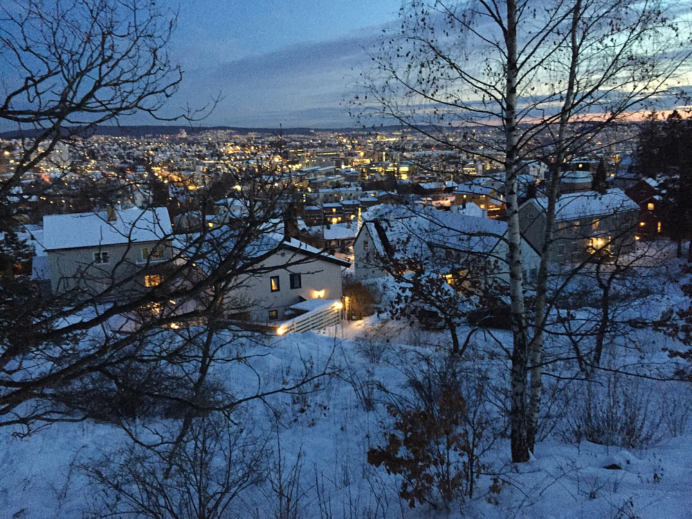 Utsikt over Oslo