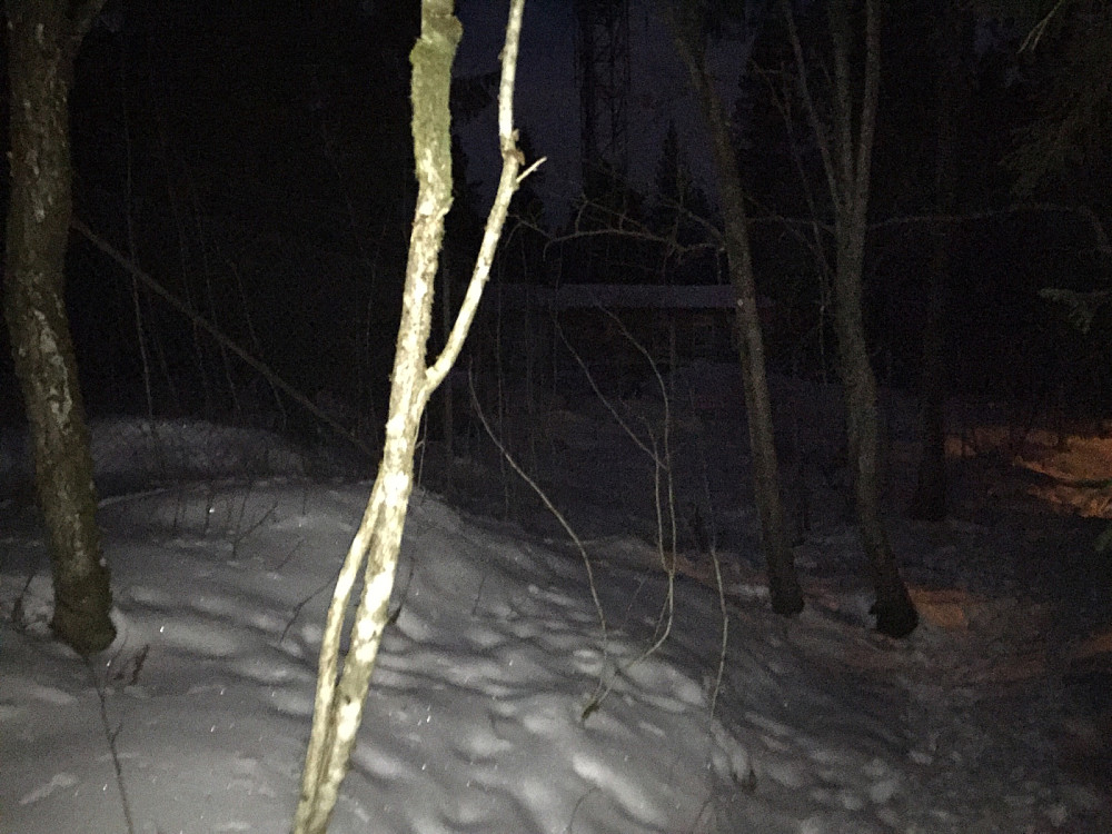 Voksenåsen i mørket